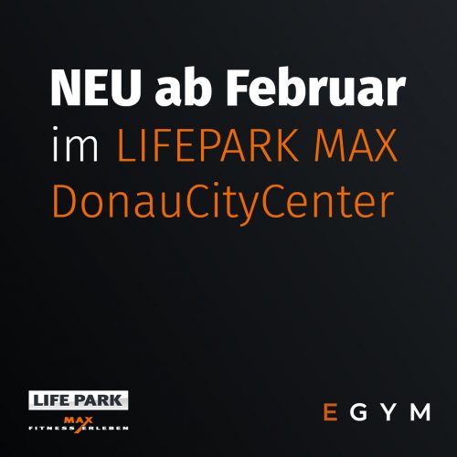 LIFEPARK-MAX-EGYM-SmartFlex-2